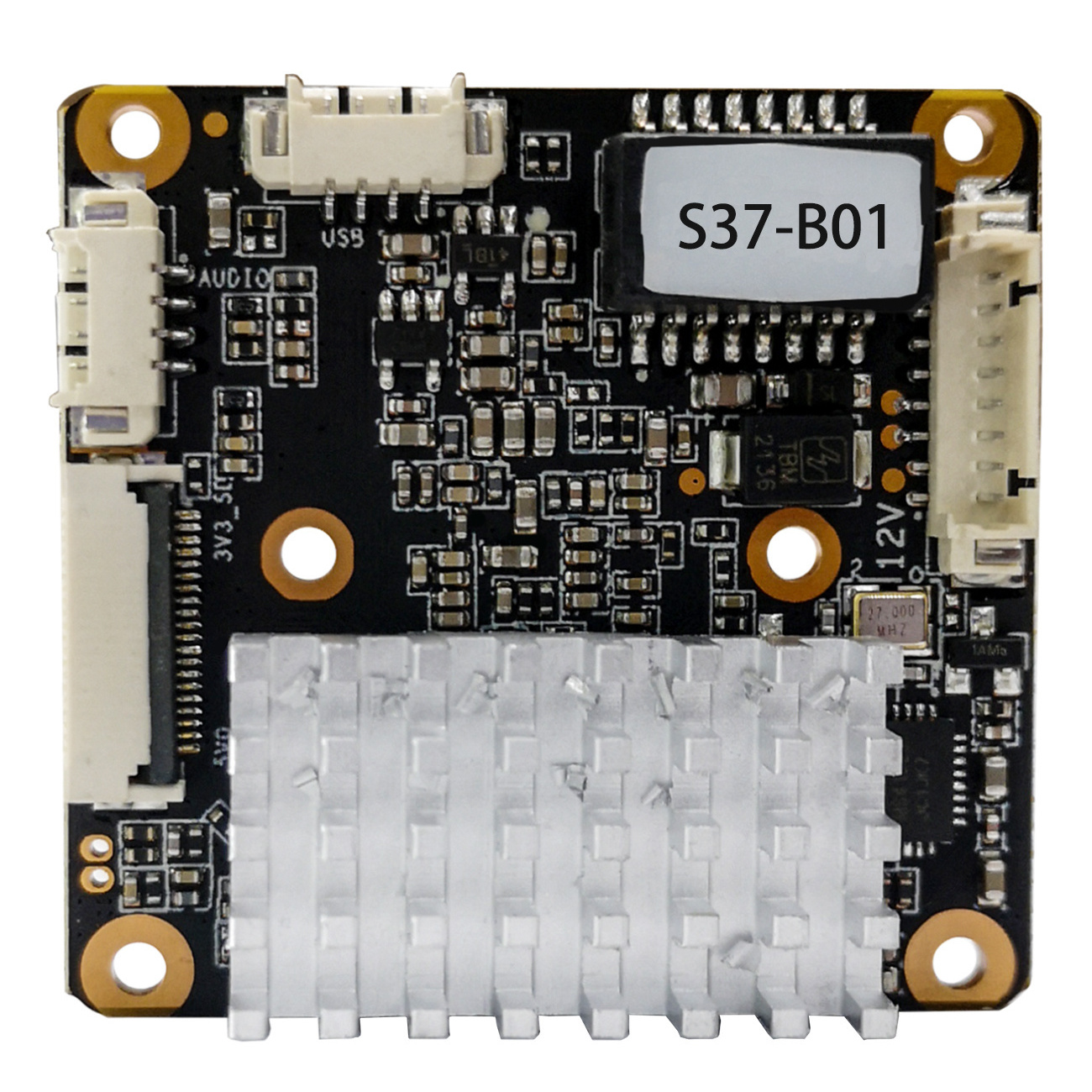 S37 Back